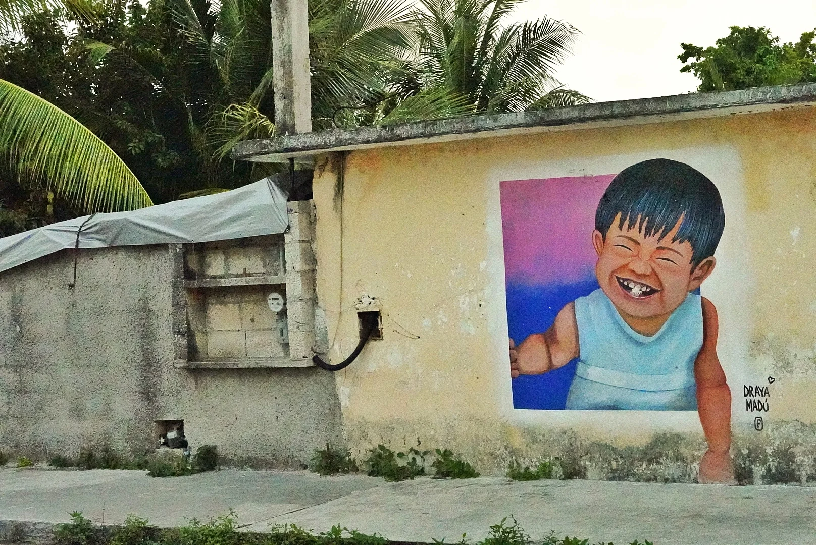 _DSC1546.jpeg