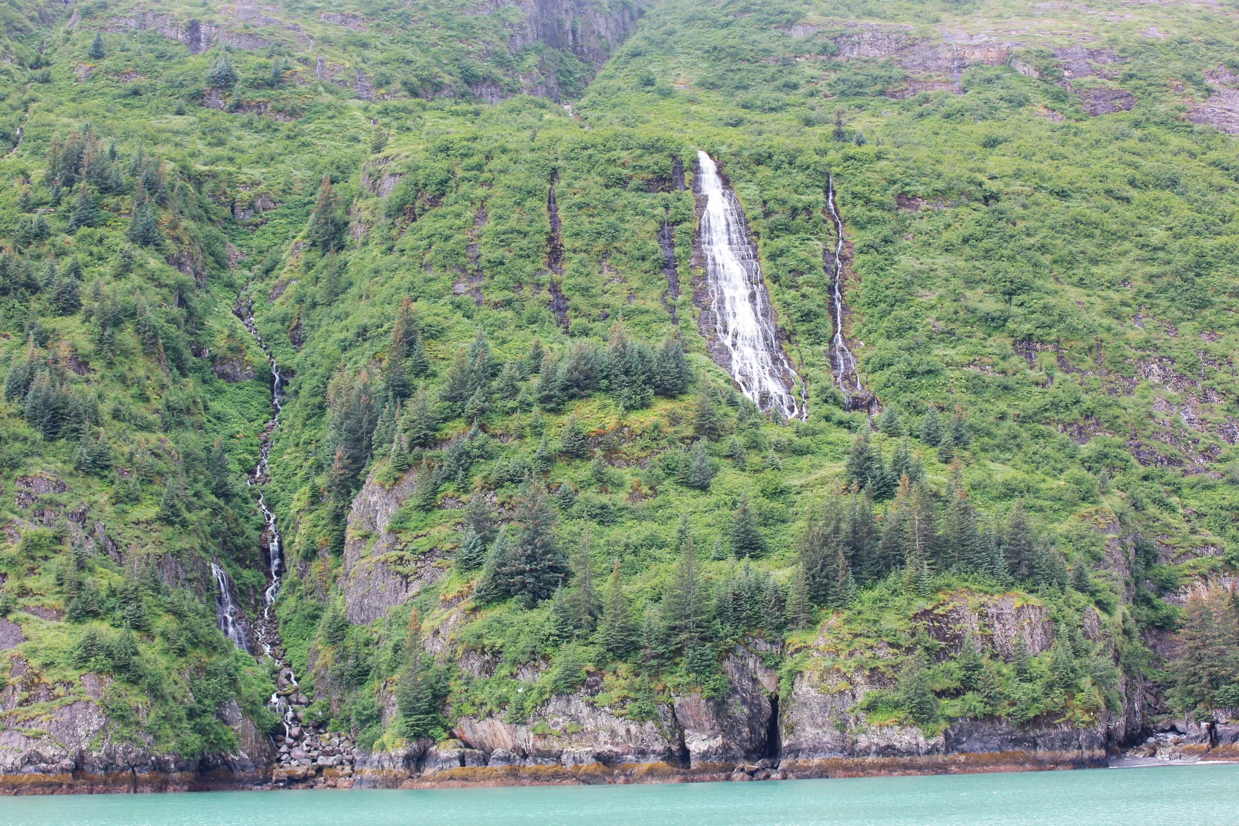 Kenai Fjord