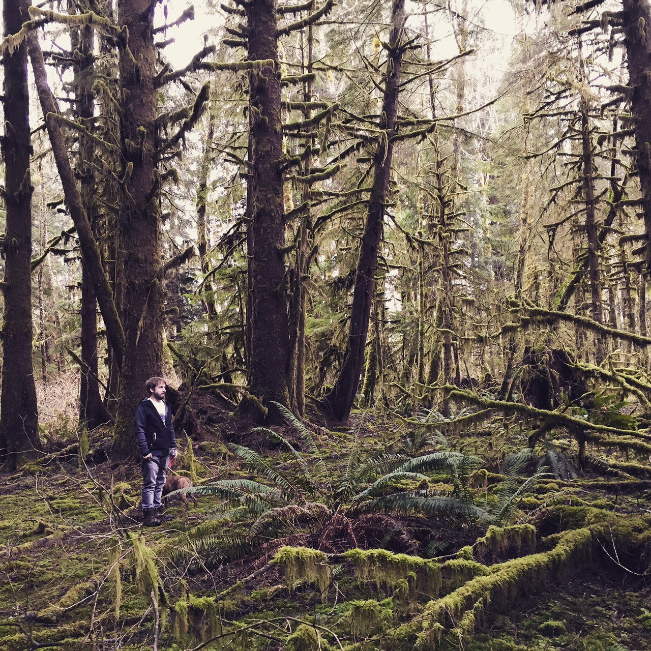 Olympic National Park