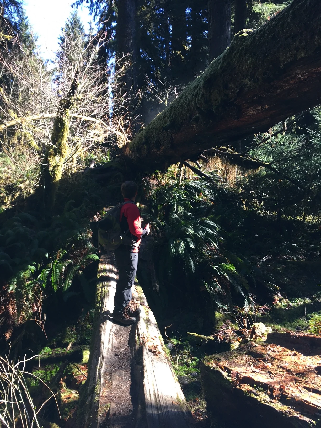 Olympic National Park