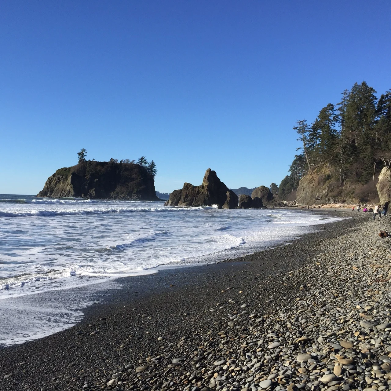 Olympic National Park