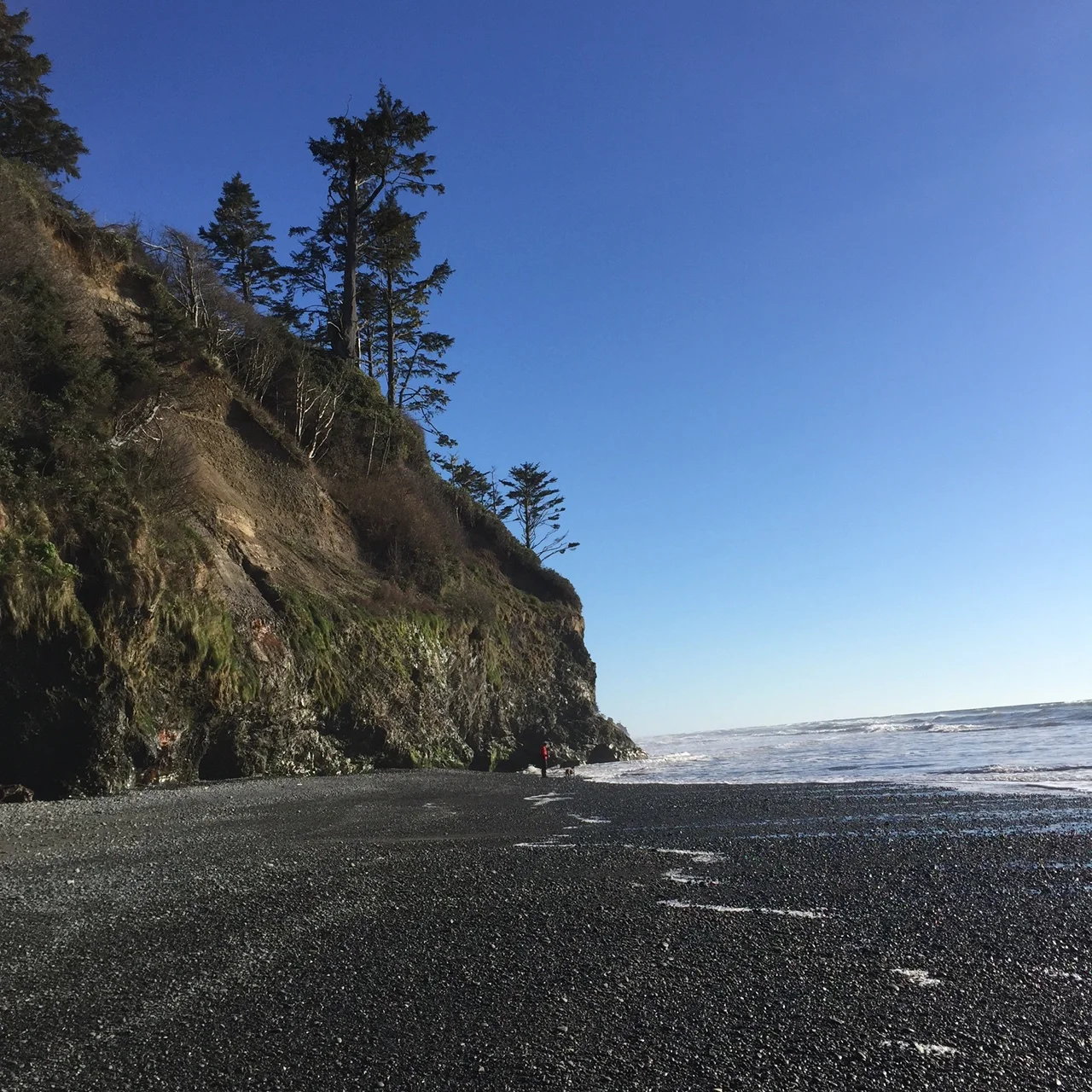 Olympic National Park