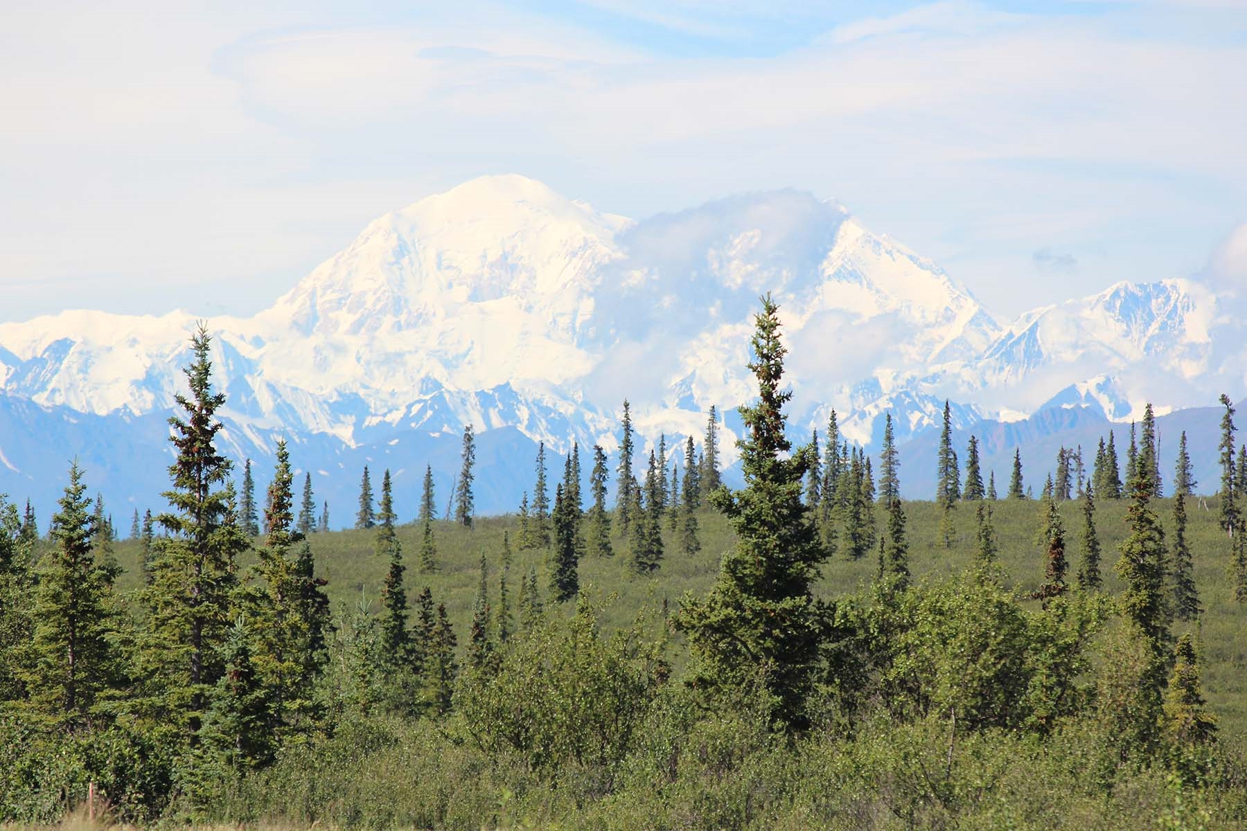 Denali National Park