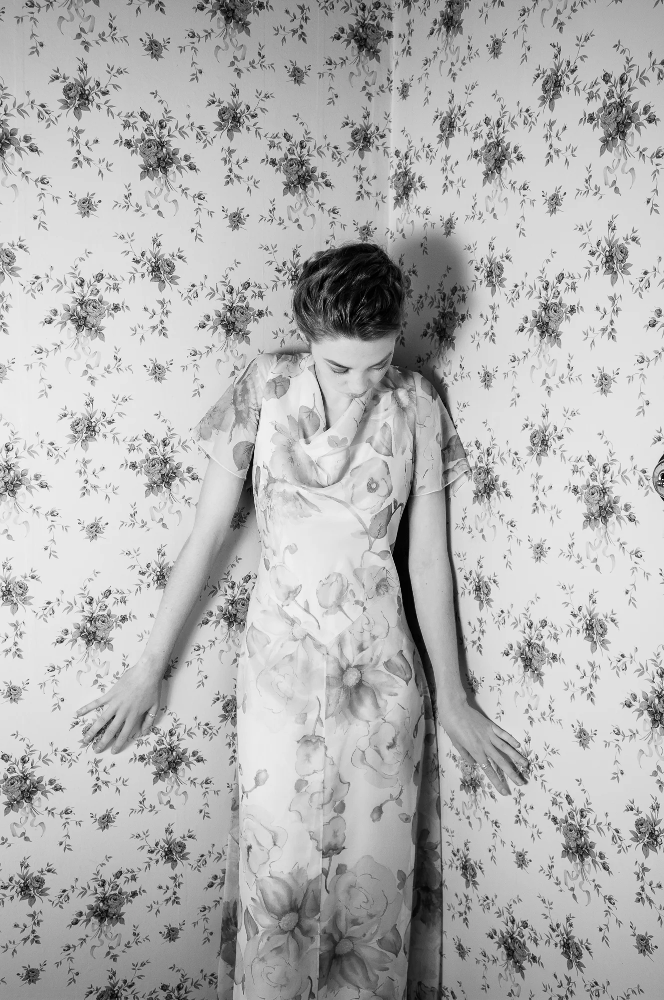 Wall Flower  |  Tasmanian Concept Photography