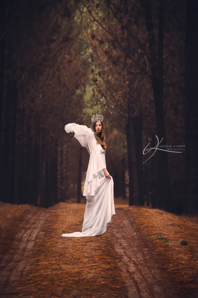 A crown tutorial  |  Tasmanian Concept Photographer