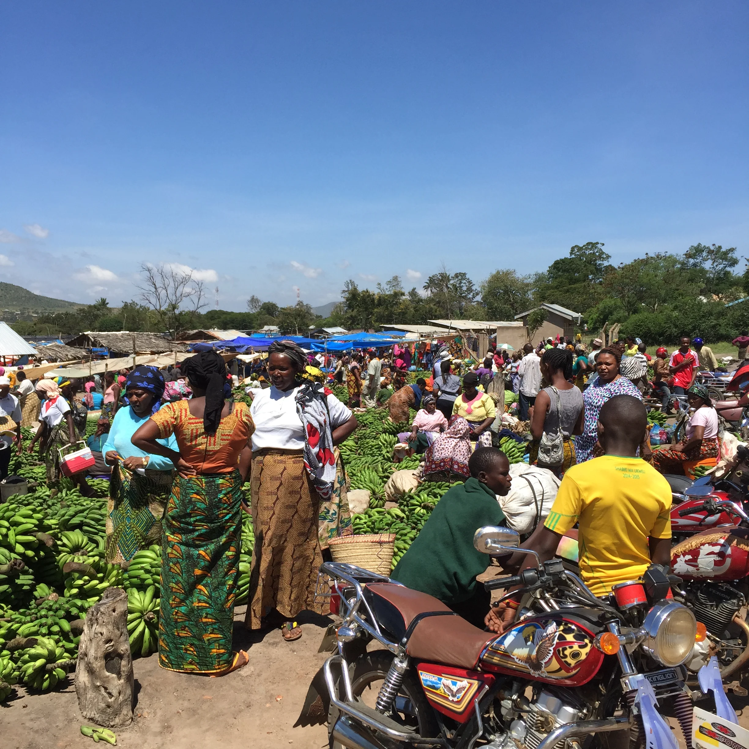 Integrating campus and community