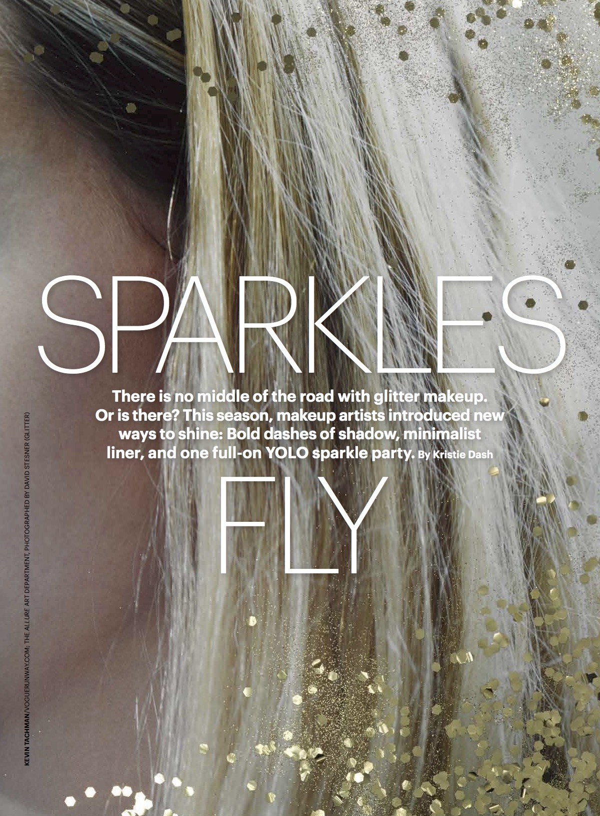 sparkles_fly1.jpg