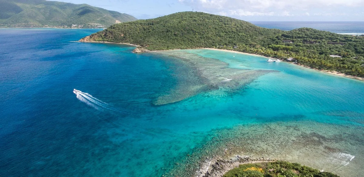 Project_Delivery_Group_LittleDixBay_Construction management.jpeg