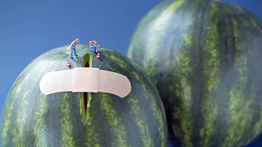 melon+bandaid.jpg