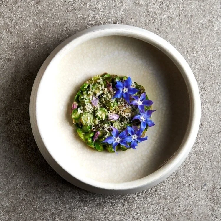 Asparagus, Spruce, Filbert, Borage at Farm Spirit this summer.
