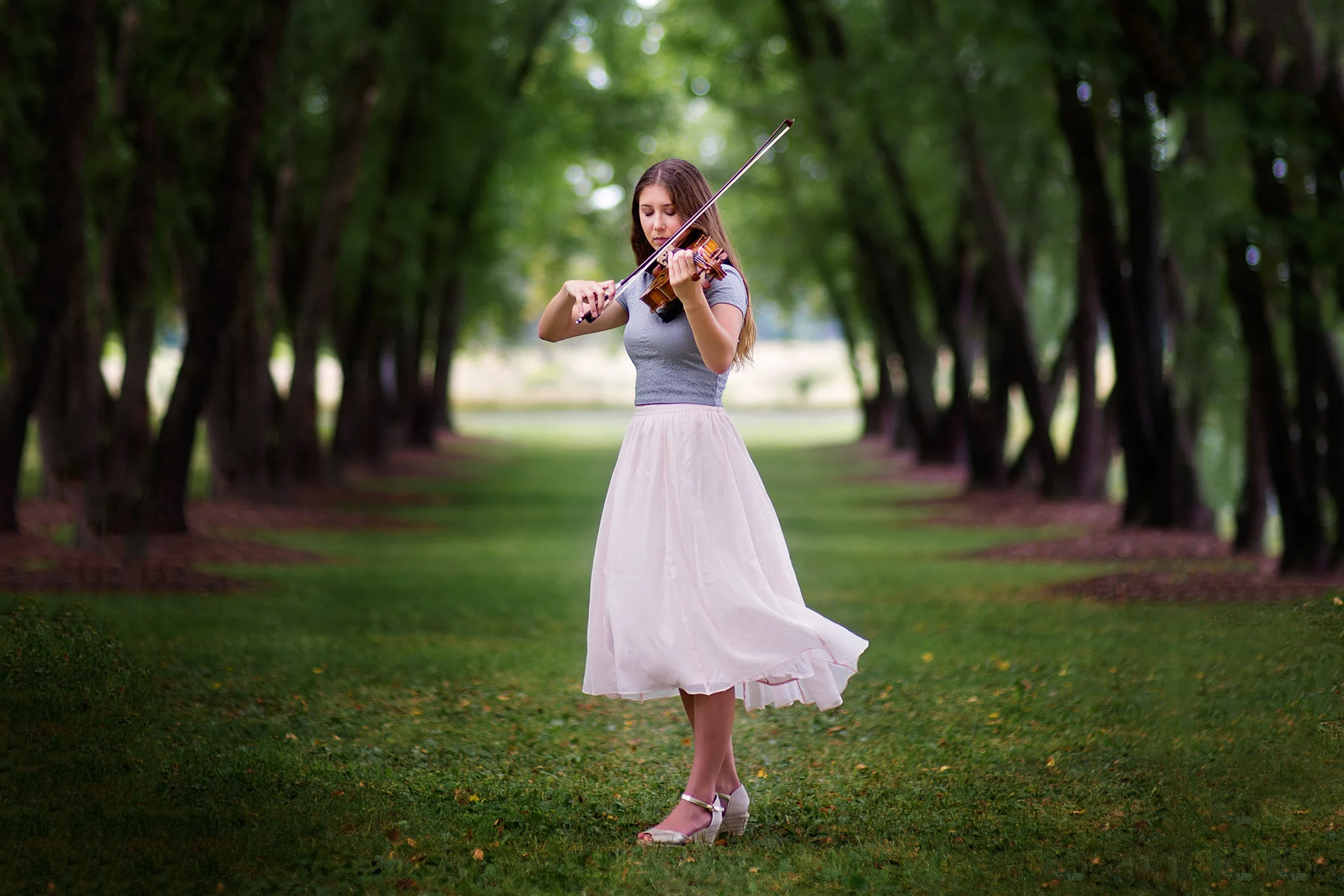 viola-5x7.jpg