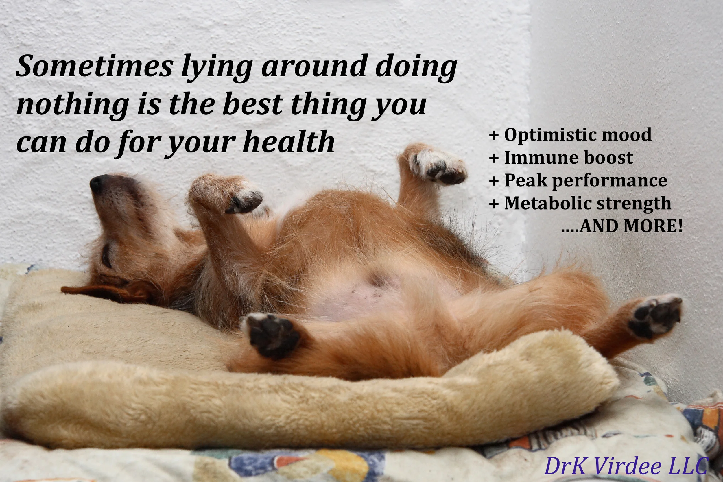 Reversing Chronic Sleep Deprivation?