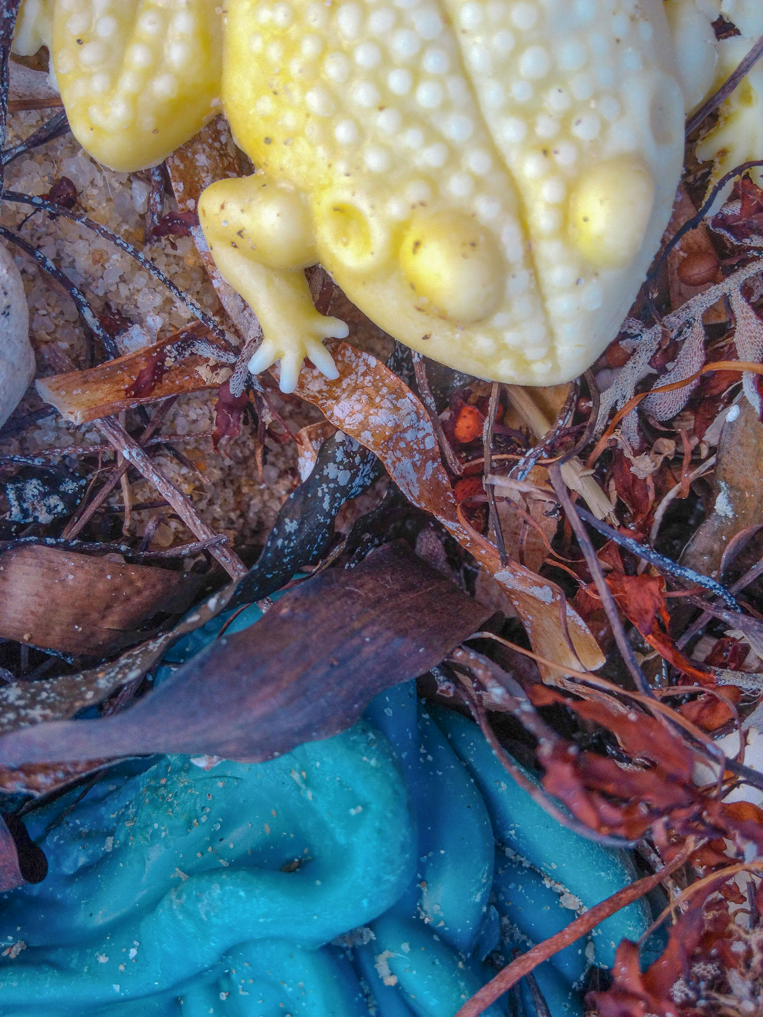frog and slime-2.jpg