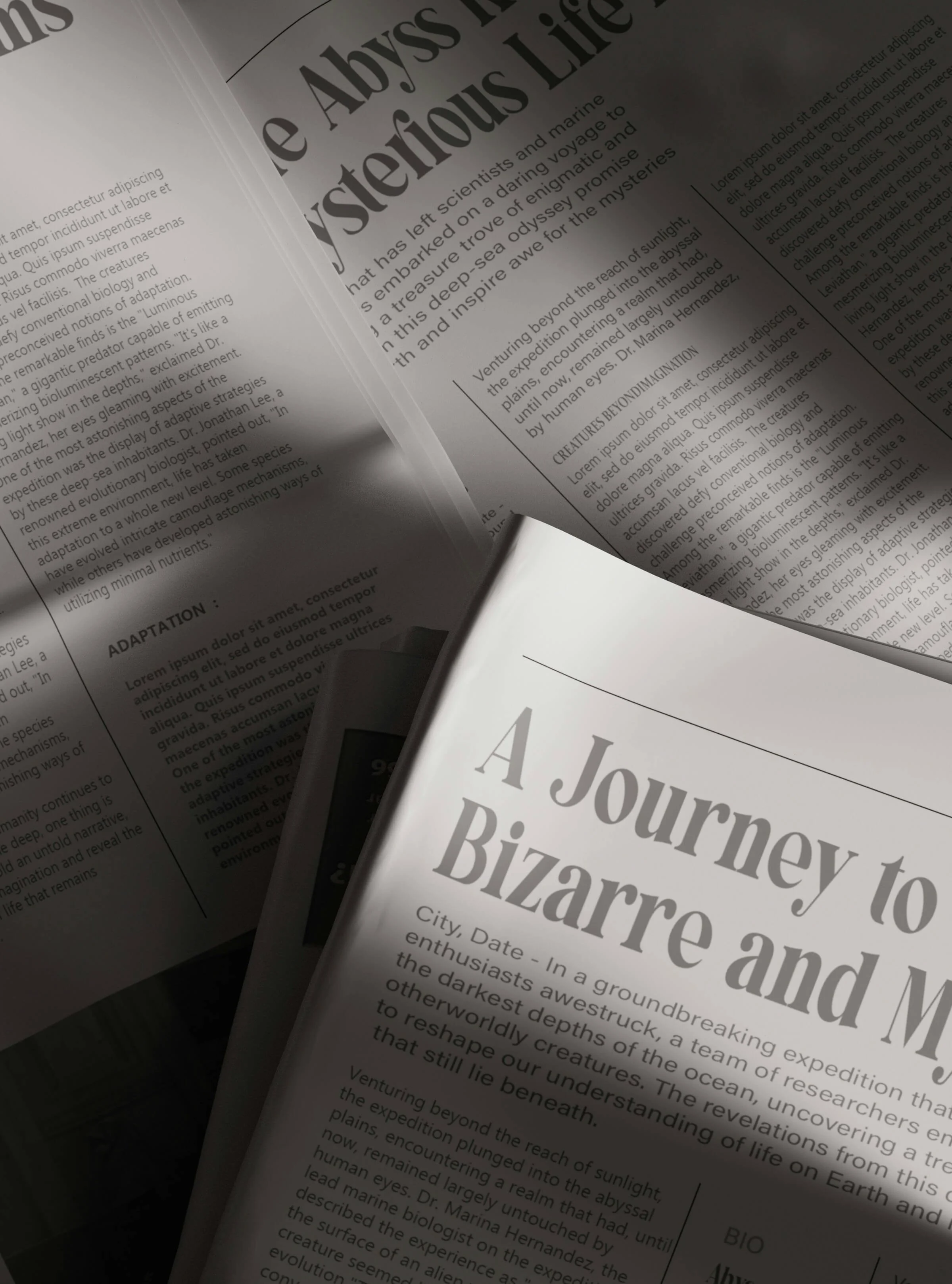 Open book pages with the title 'A Journey to Bizarre and Mysterious' and textual content, laying on a flat surface with some pages shaded and overlapping.