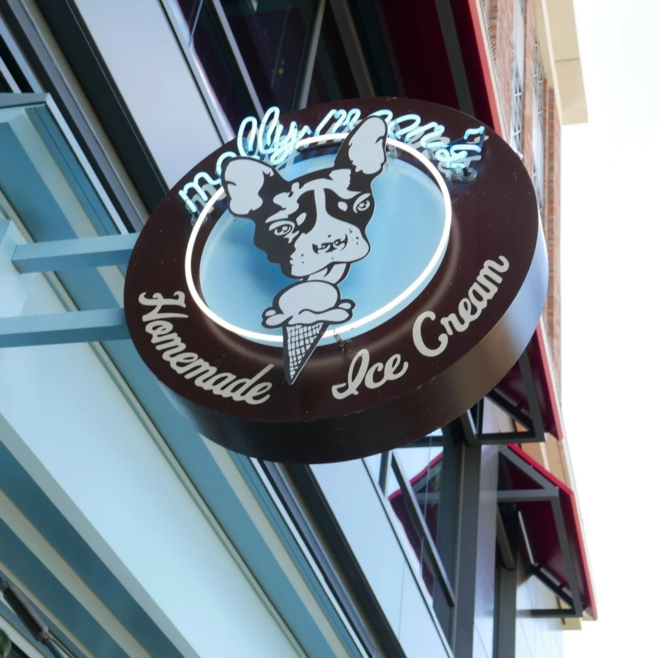 Molly Moon's Ice Cream