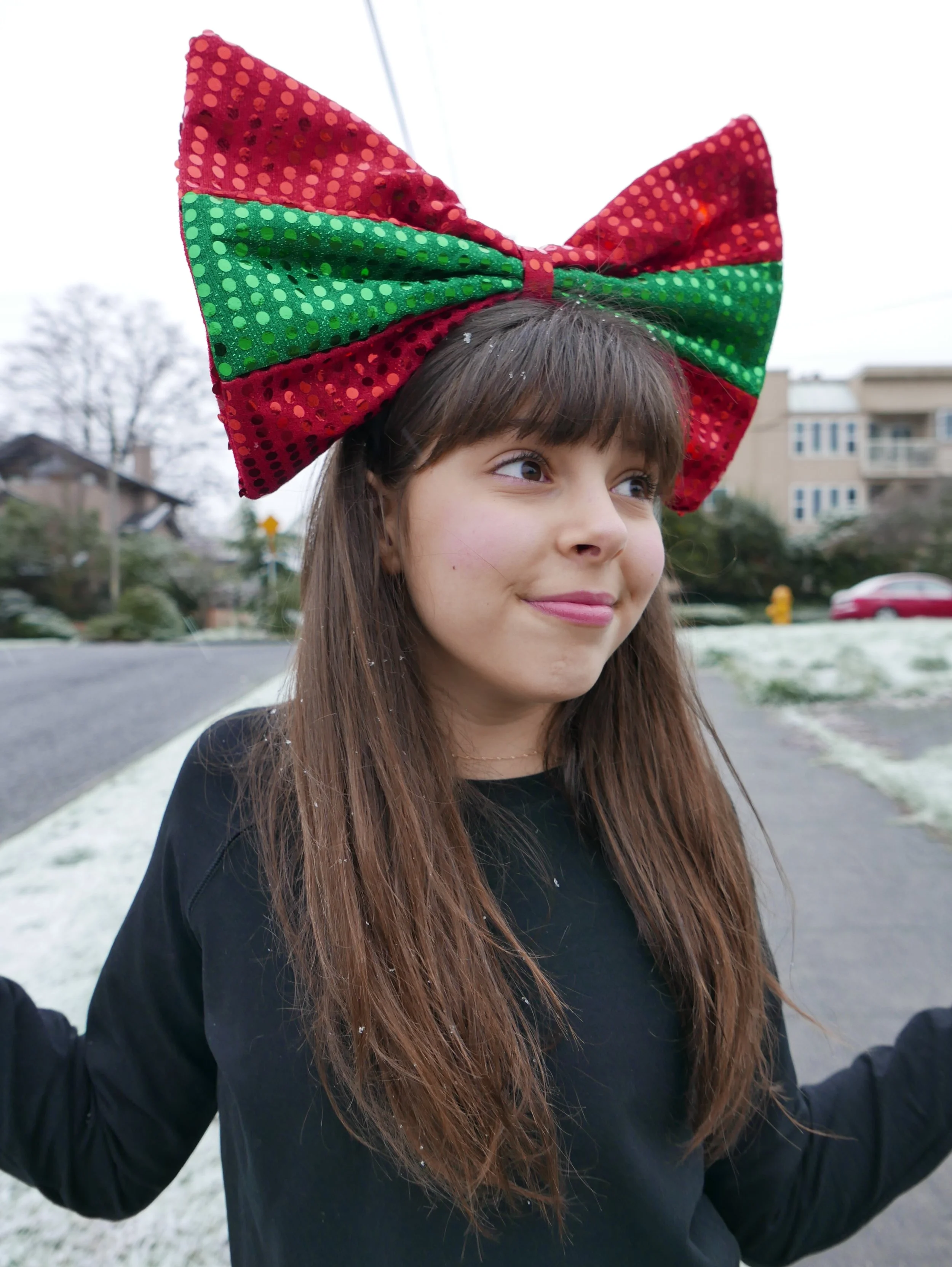Holiday Bow 