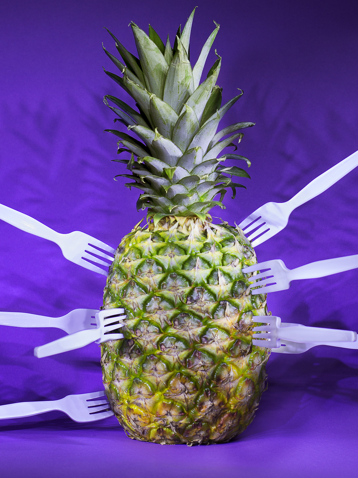 Archambault_pineapple.jpg