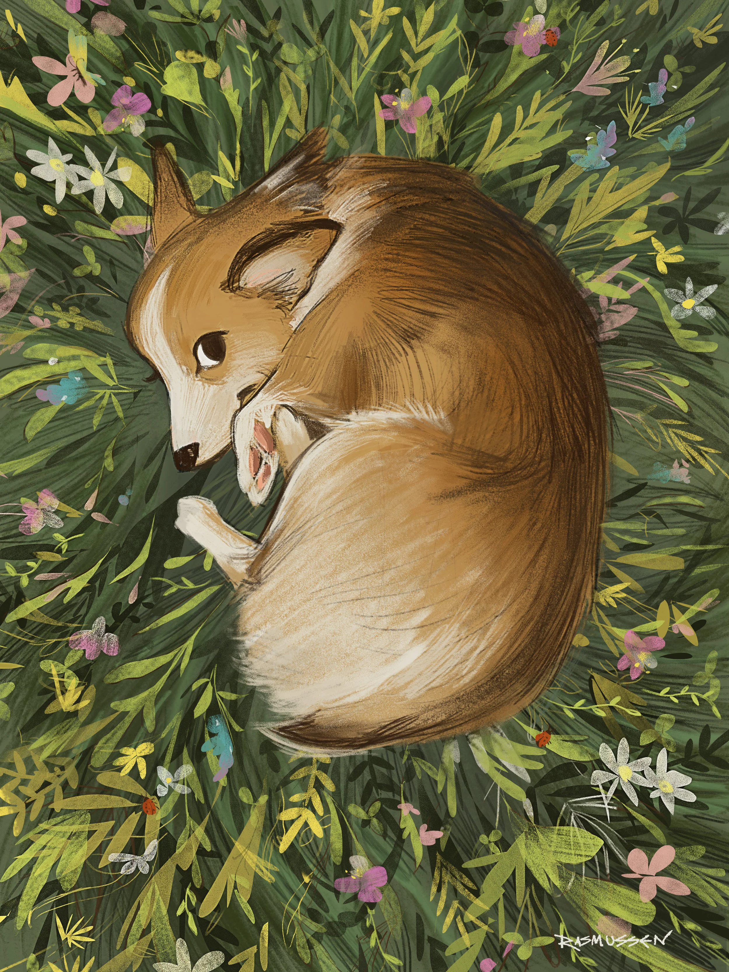 Lubyinthegrass.jpg