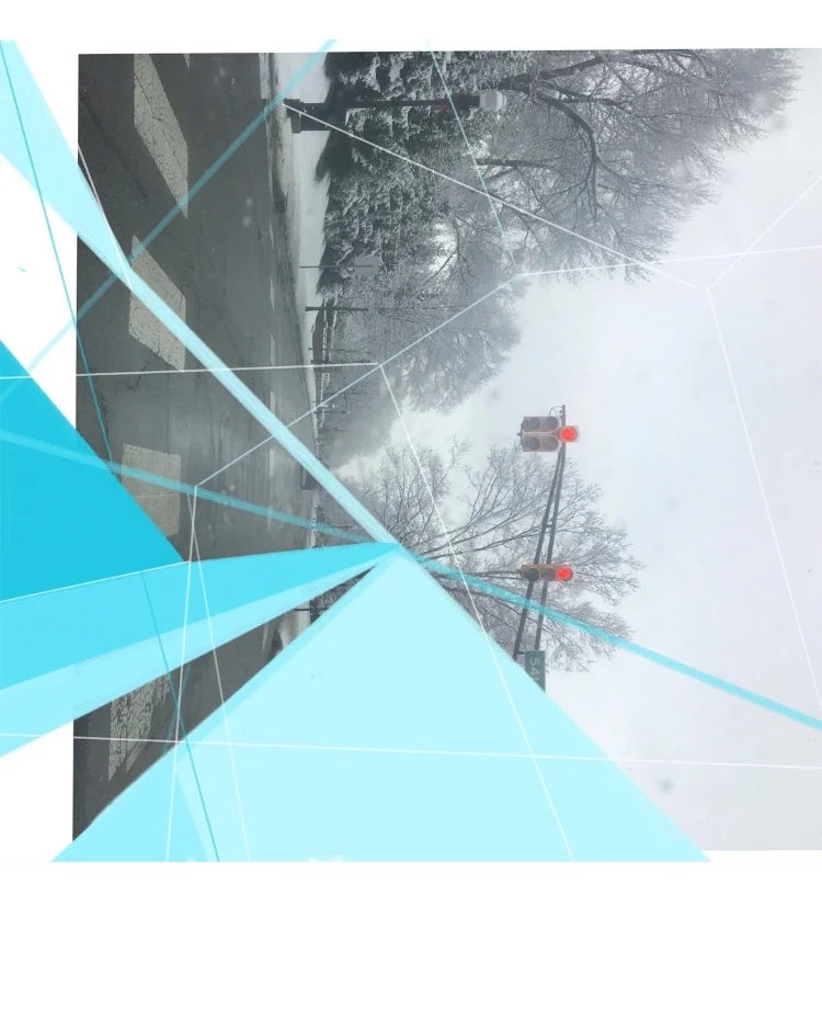 Digital Collage Work