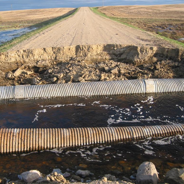 IMG_2699 (Large).JPG