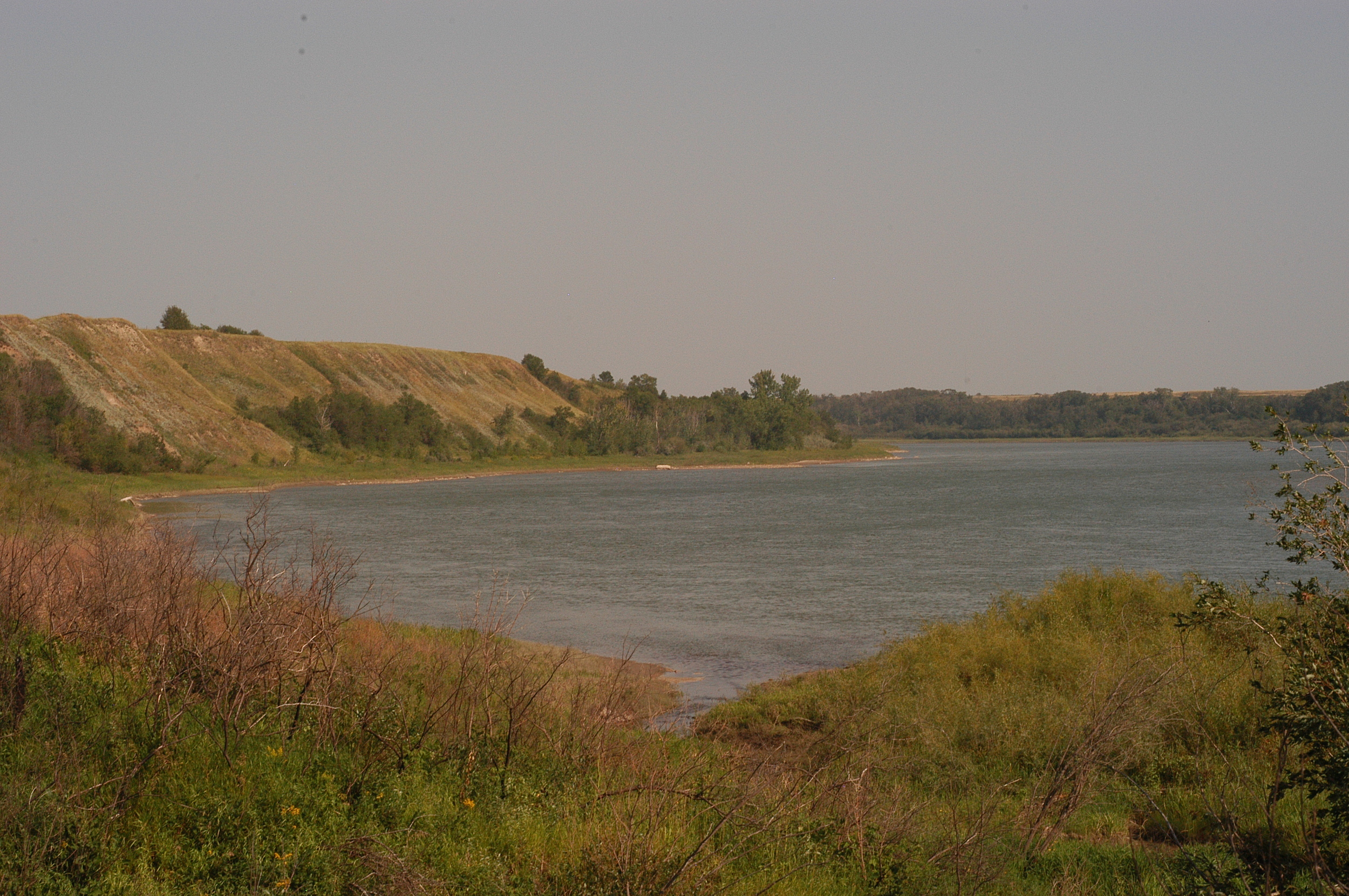 Copy of DSC_0006.JPG