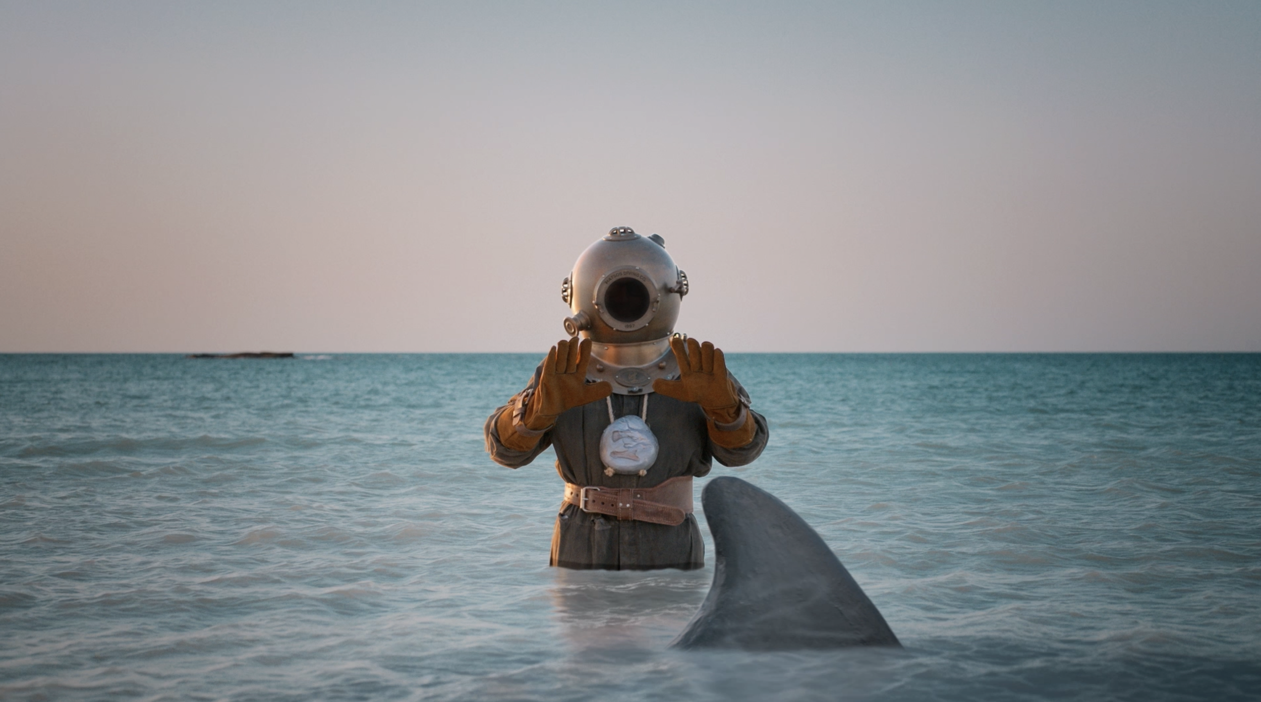 shark.png