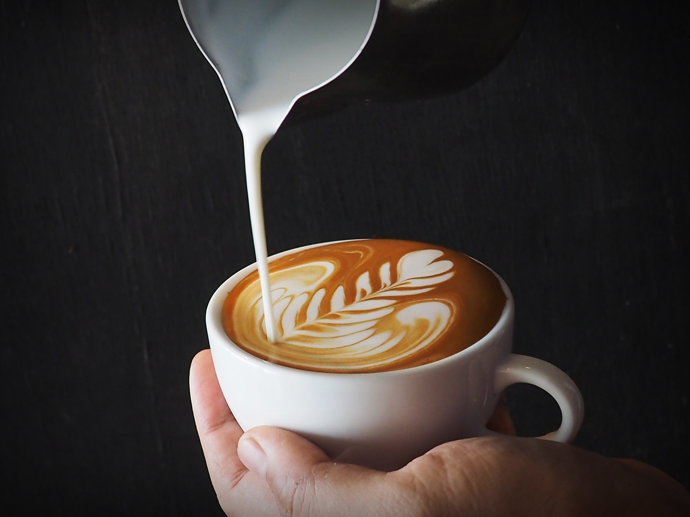 Steaming Milk & Latte Art