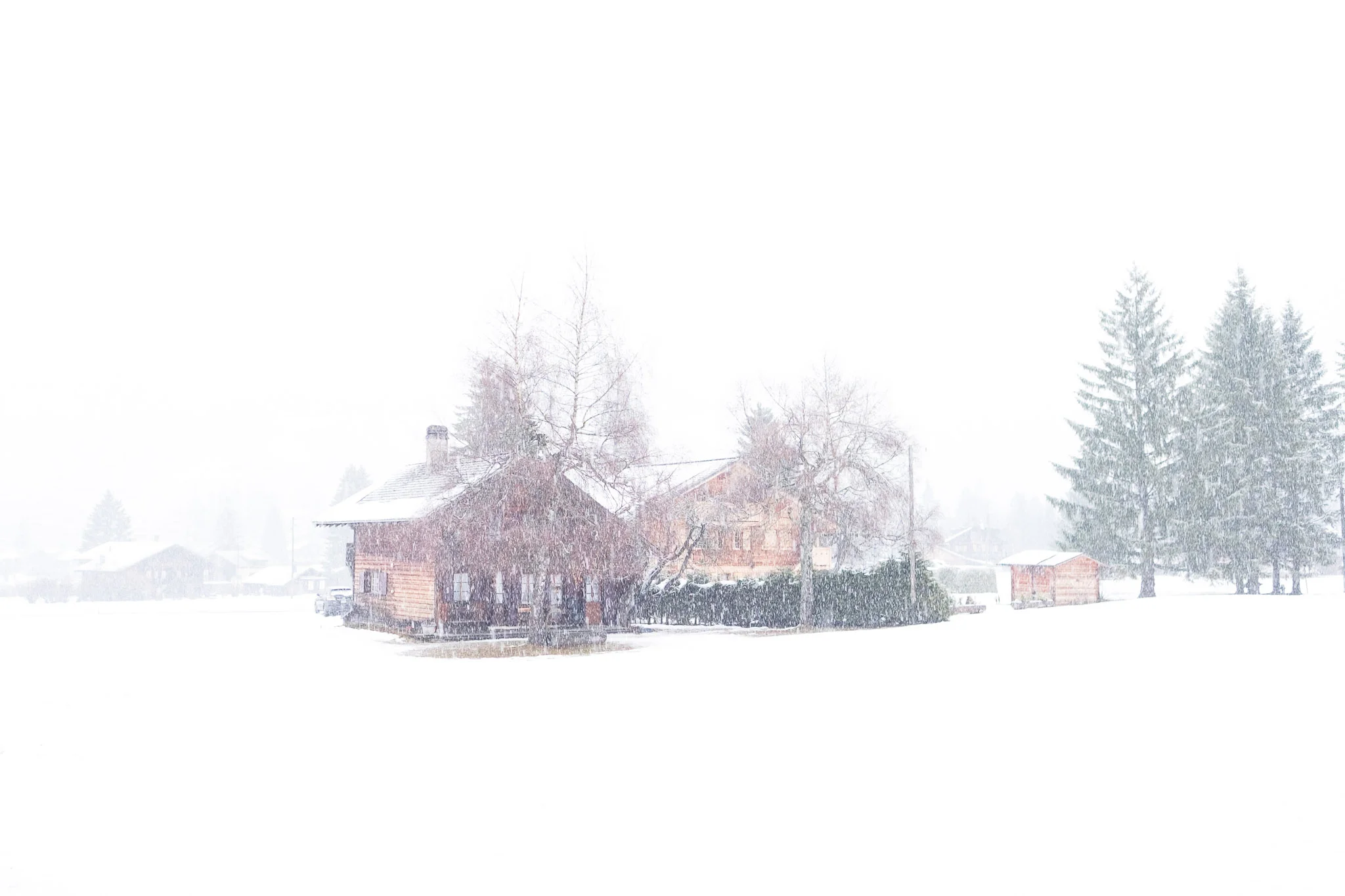 Christmas 2015 -20160102-DSCF3141.jpg