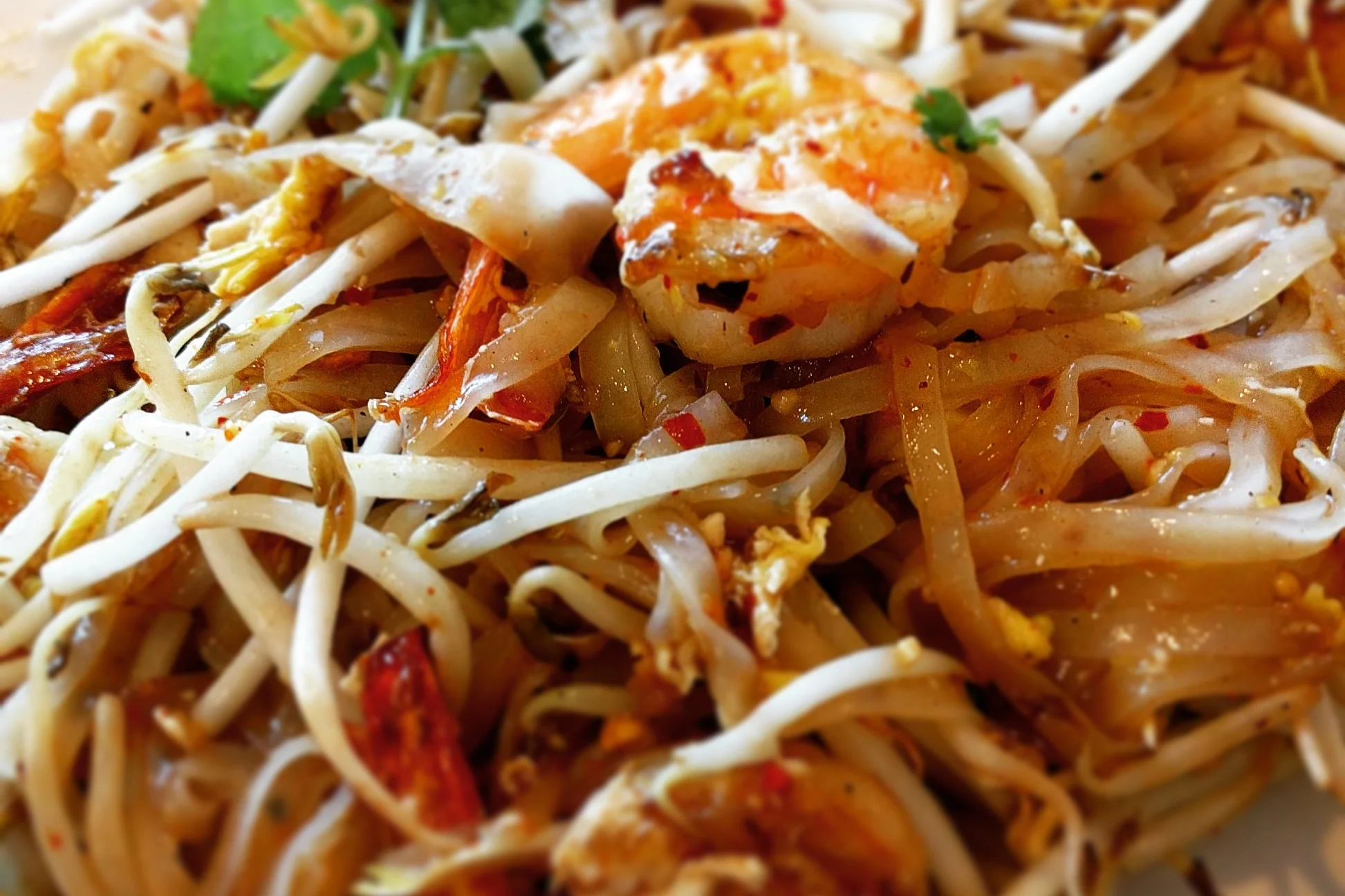 Not every Thai restaurant specializes in Pad Thai, but they make it because people order it and it keeps their businesses afloat. As such, it's unfair to judge them all by it. This is Pad Thai Khon Kaen from Yai.