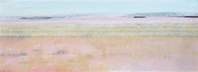 Land, Summer (2016) pastel on paper 40x107cm