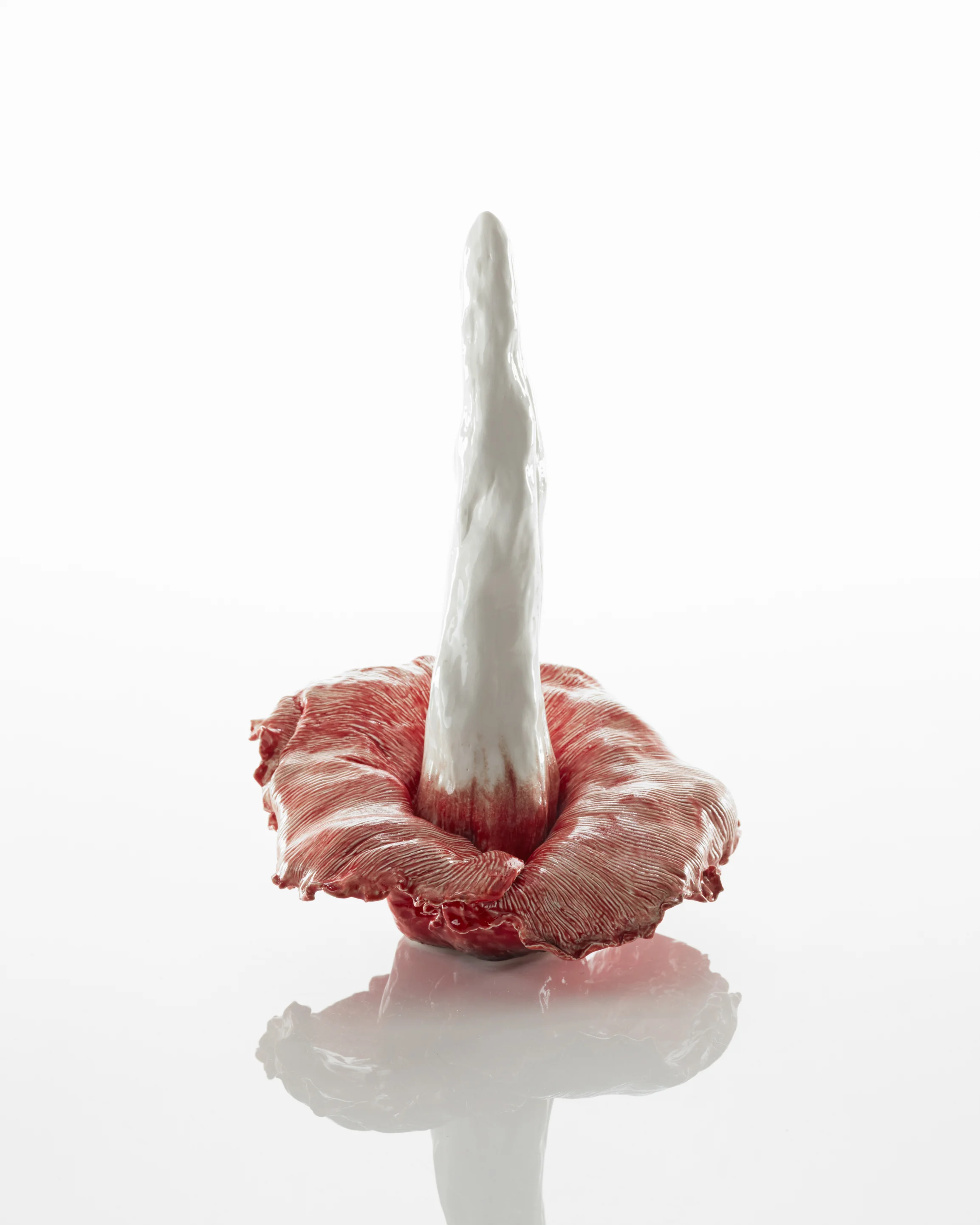 Natalie Ryan, Corpse Flower 2017