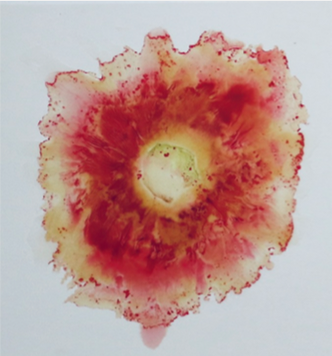 Bursts of Energy and Love (2018)