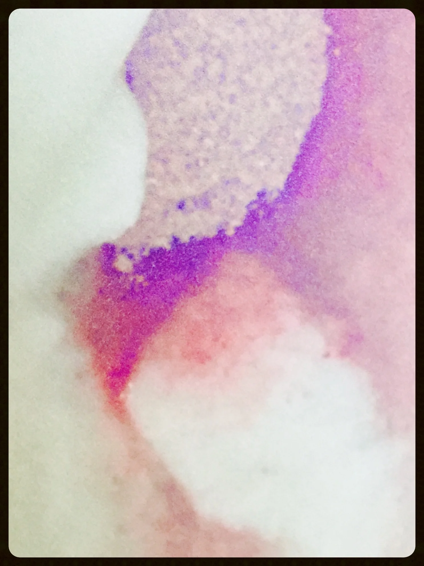 The Tooth