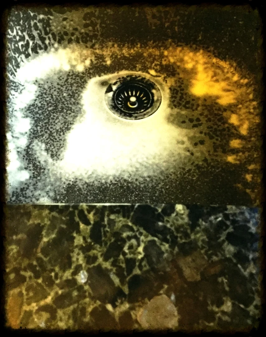 The Kitchen Sink
