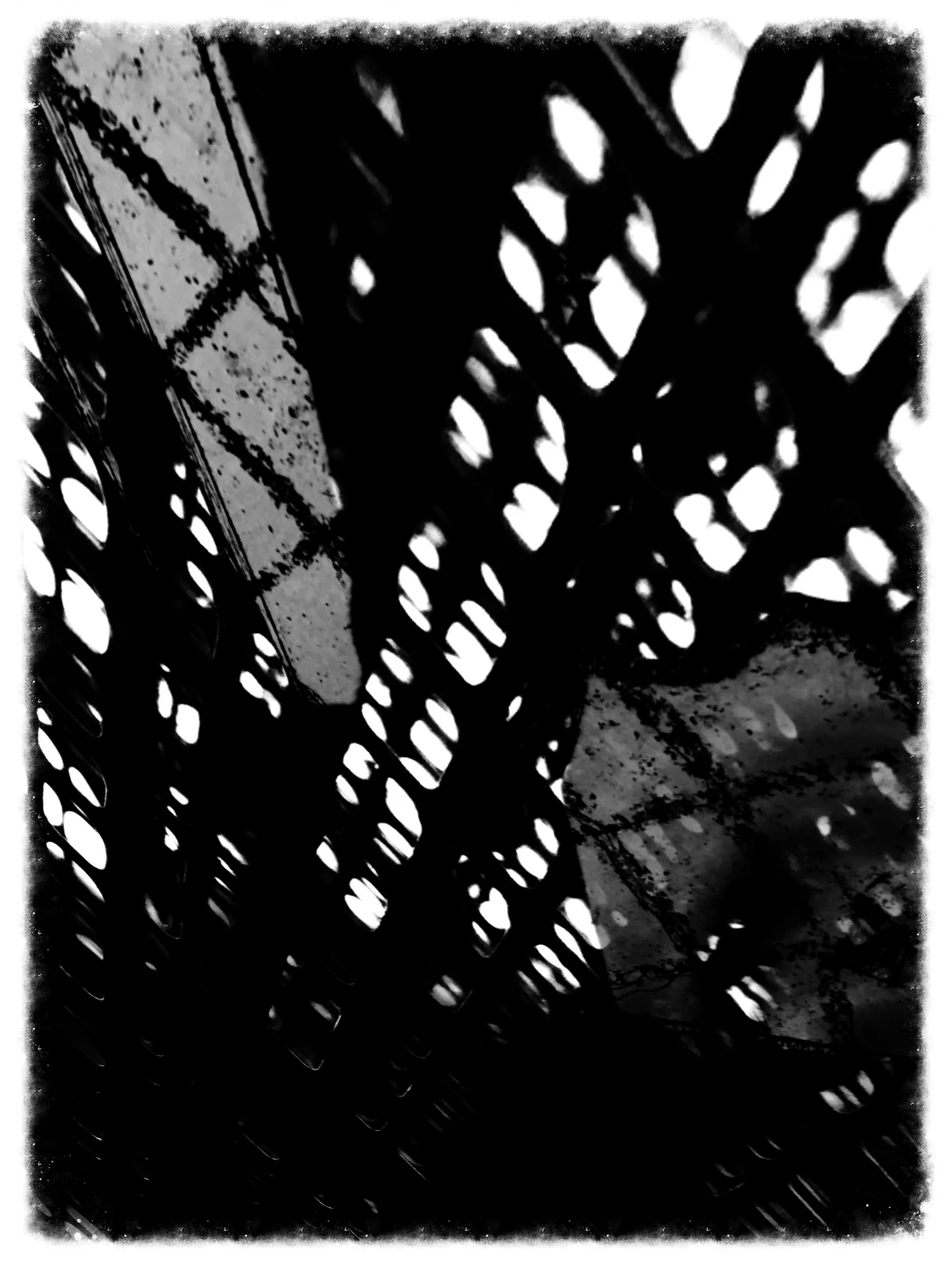 Net The Point