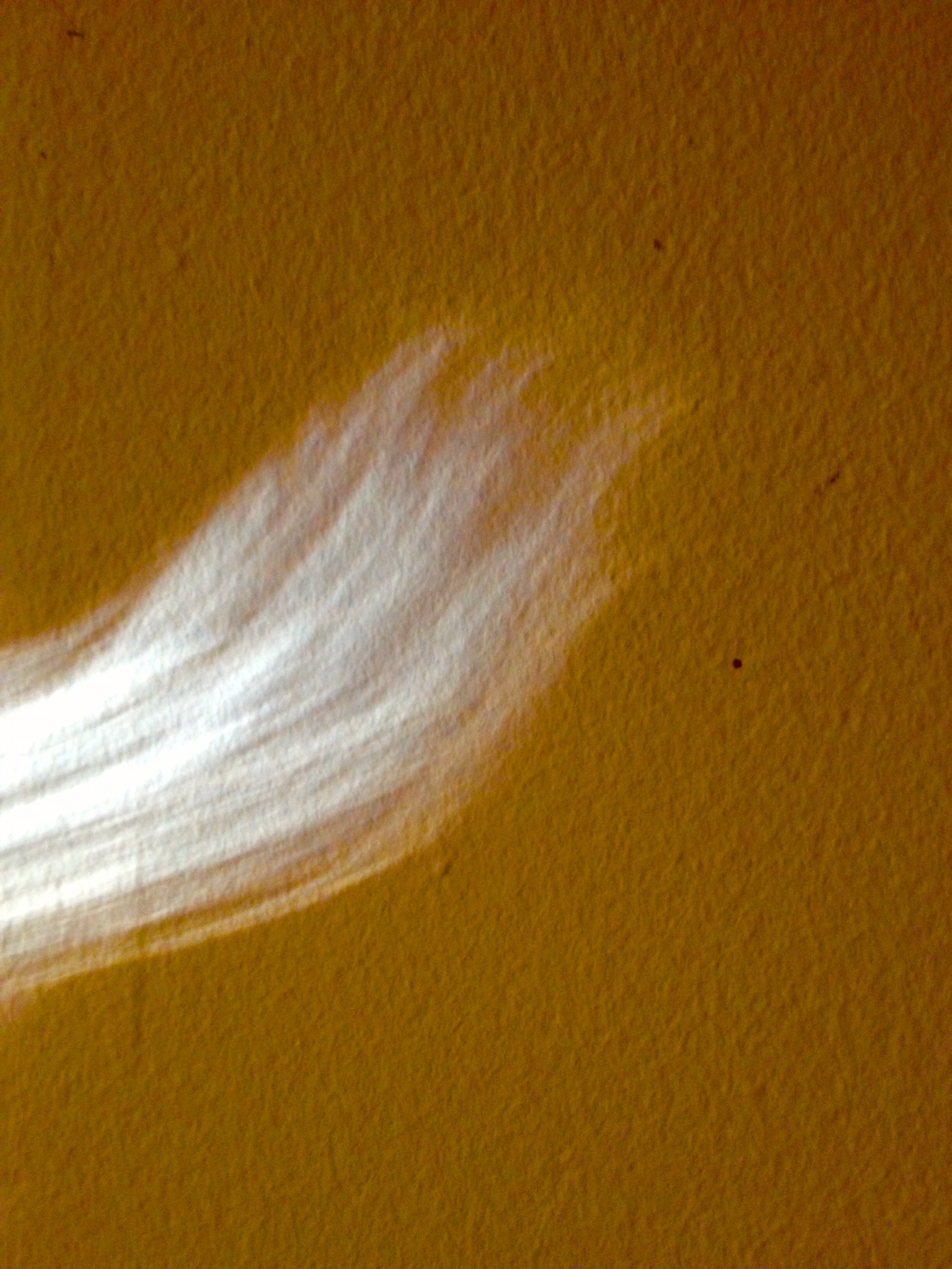 Wall Tail