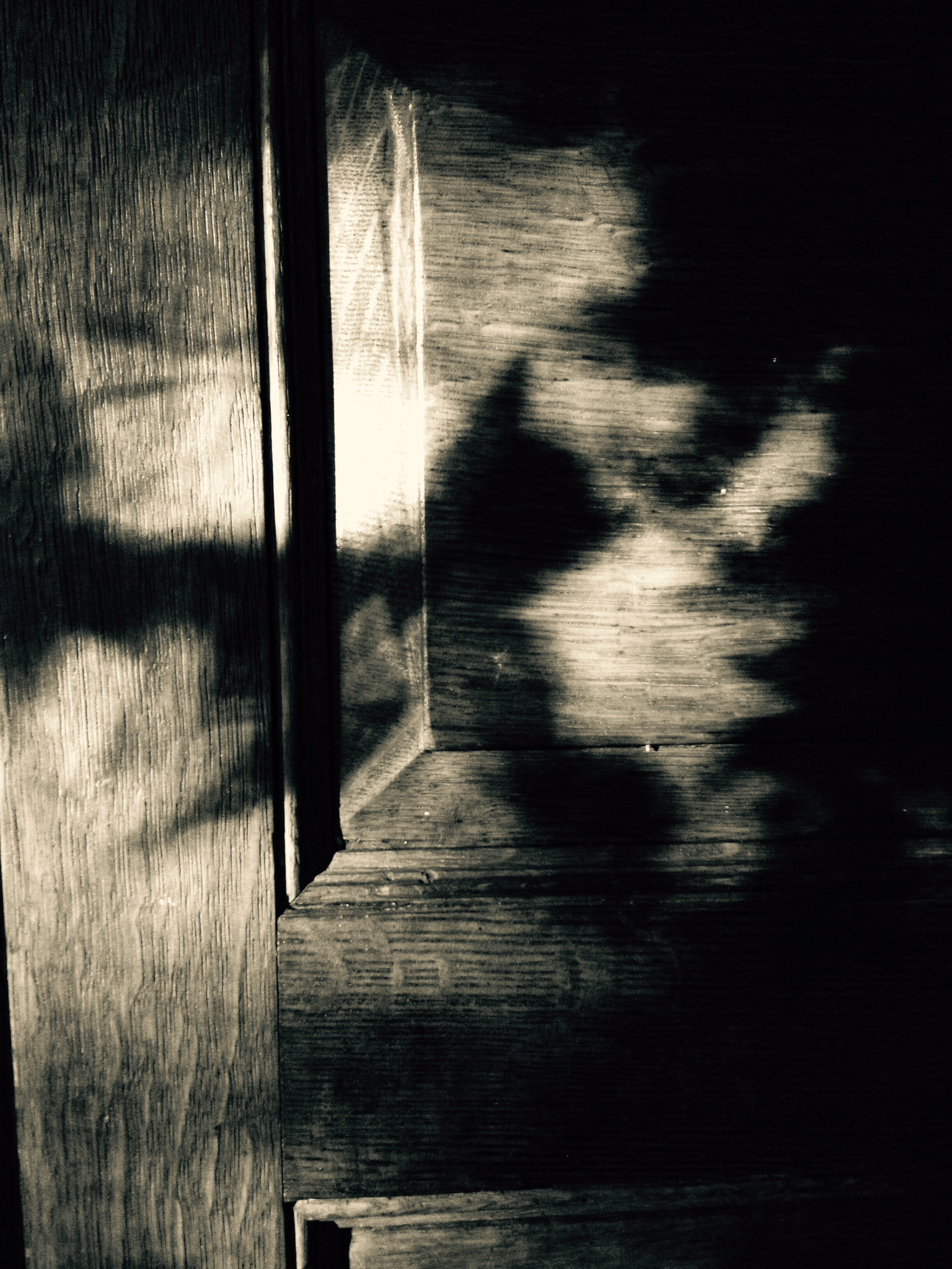 Shadows Wooden Door