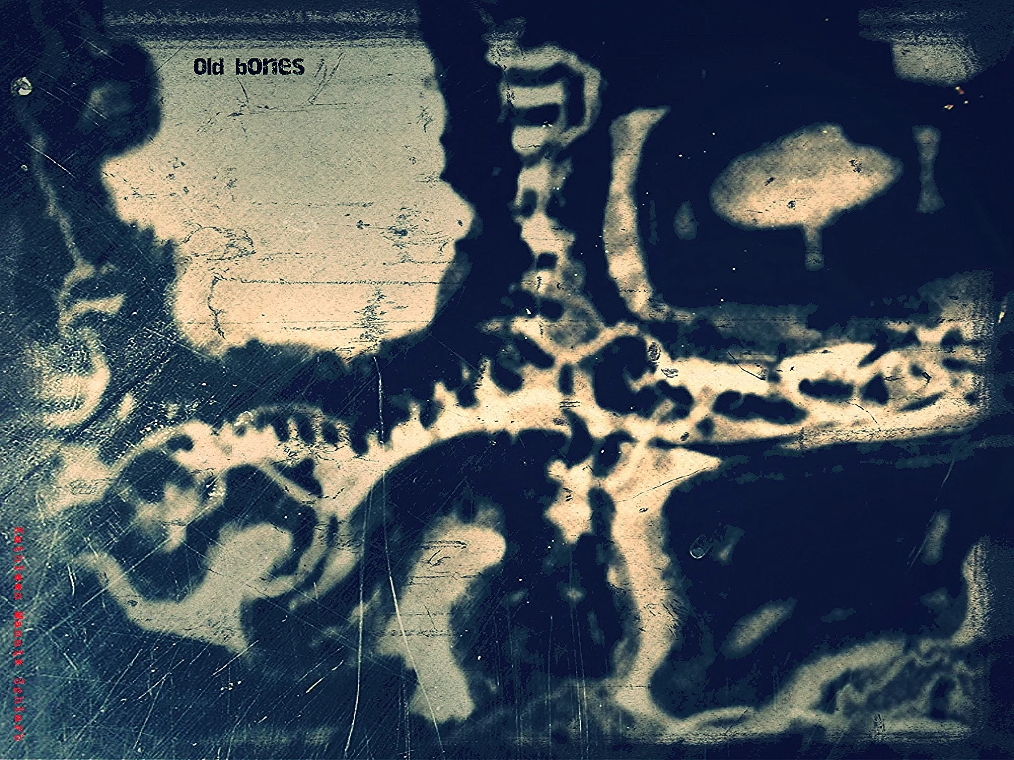 Old Bones
