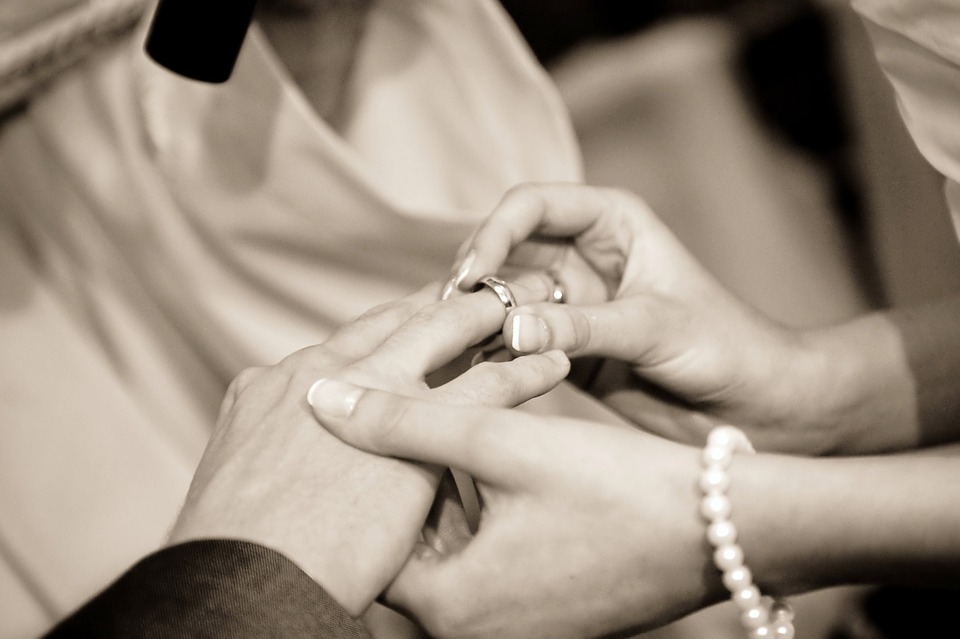 wedding Garter removal - No Hands  Wedding, Marrying my best friend, Dream  wedding