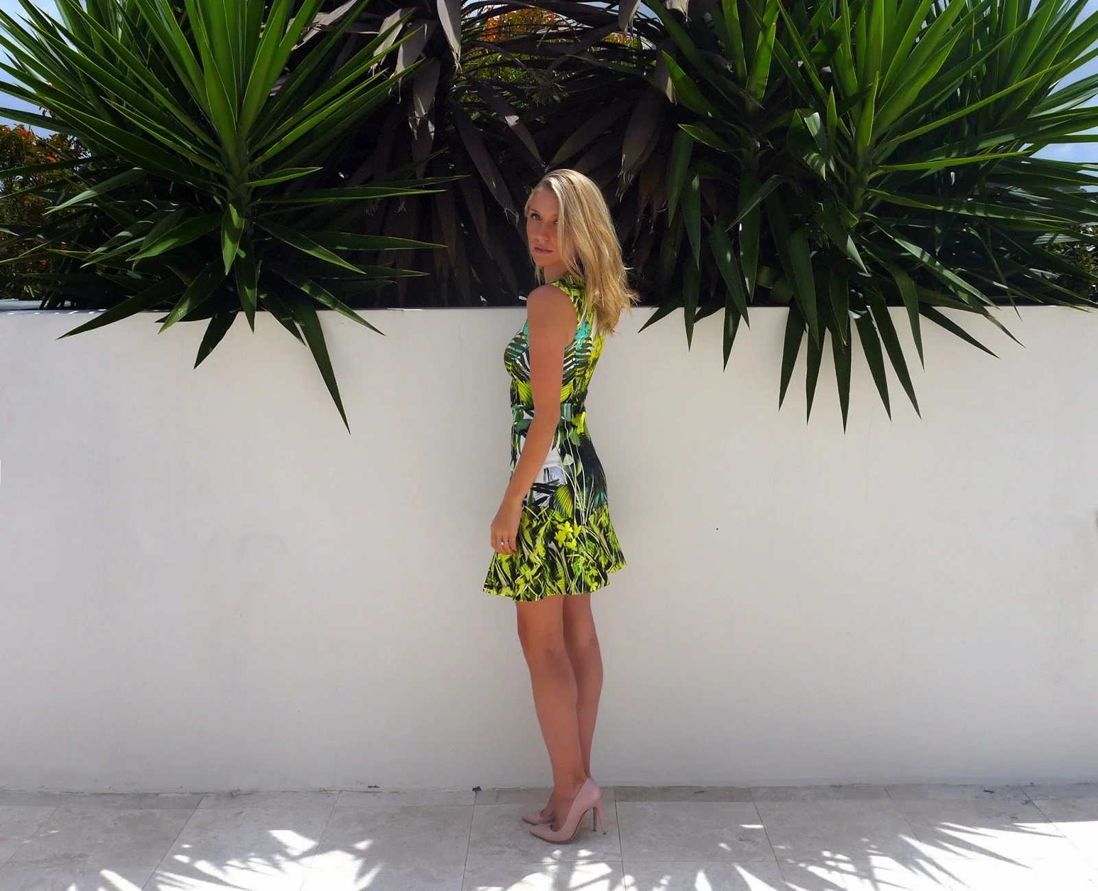 palm%2Btree%2B2.jpeg