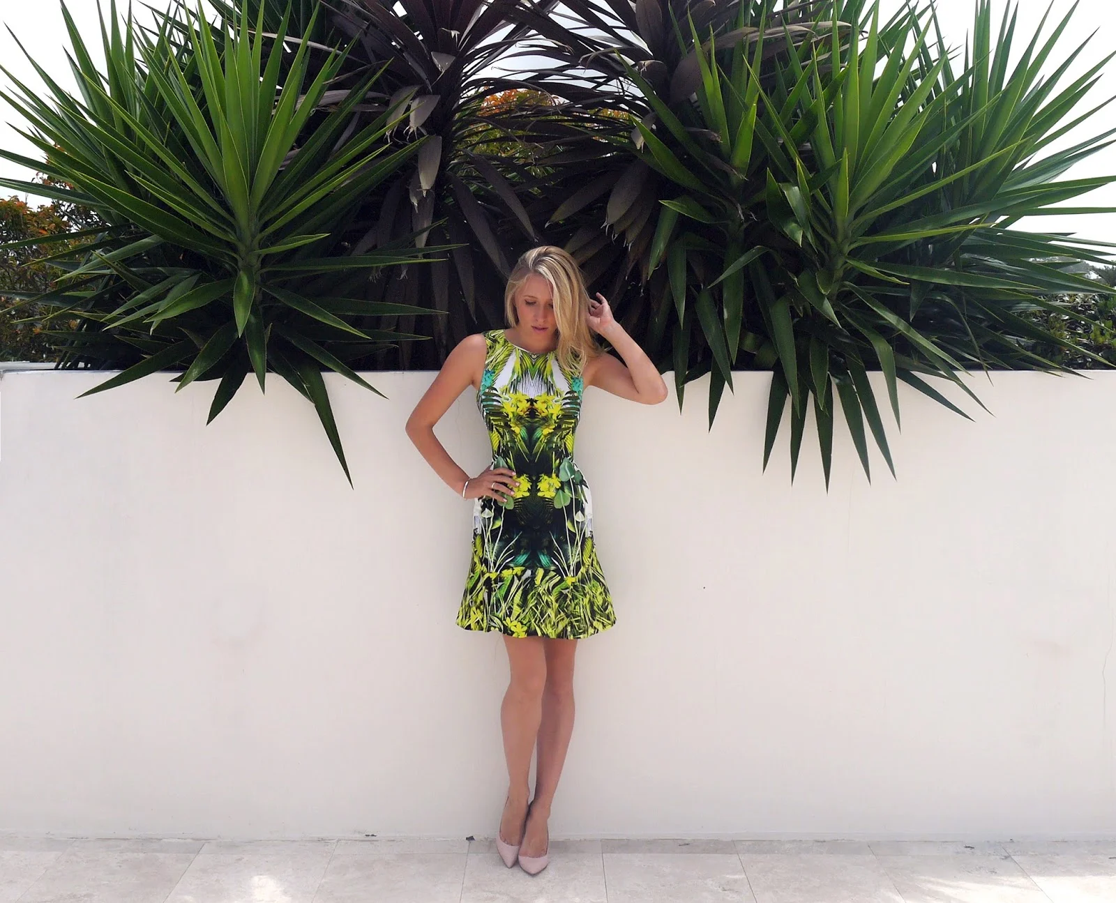 palm%2Btree%2B3.jpeg