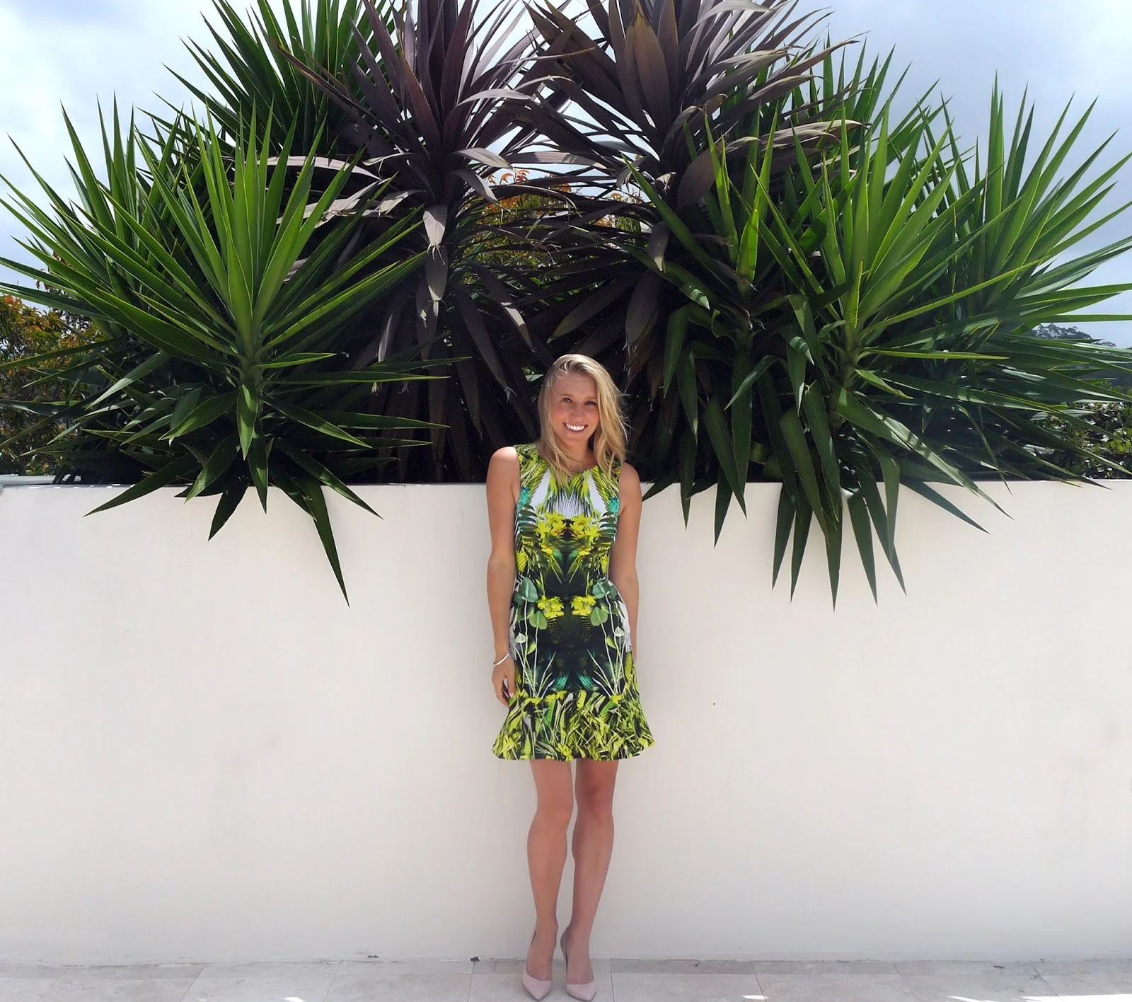 palm%2Btree%2B4.jpeg