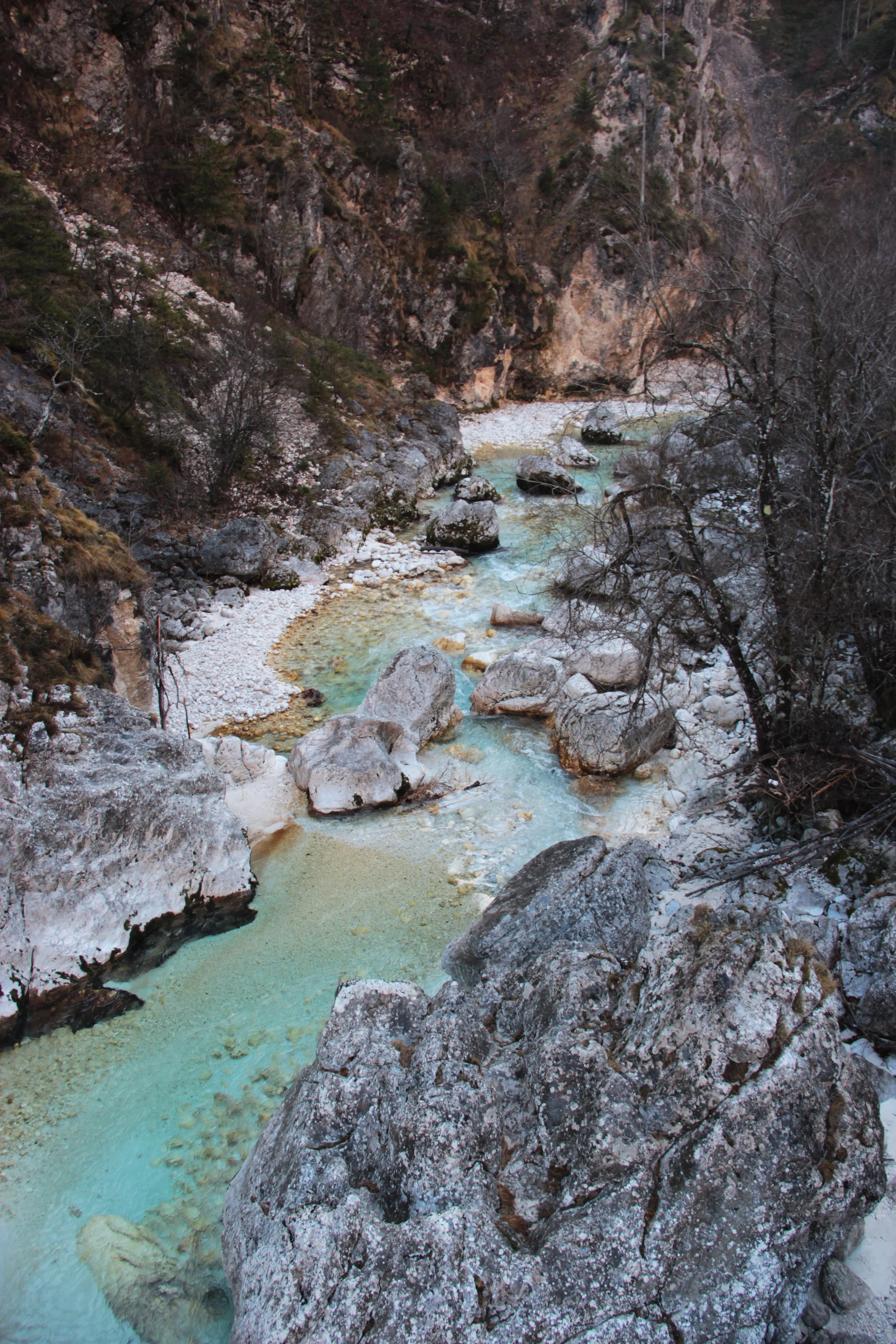 IMG_9630.jpg