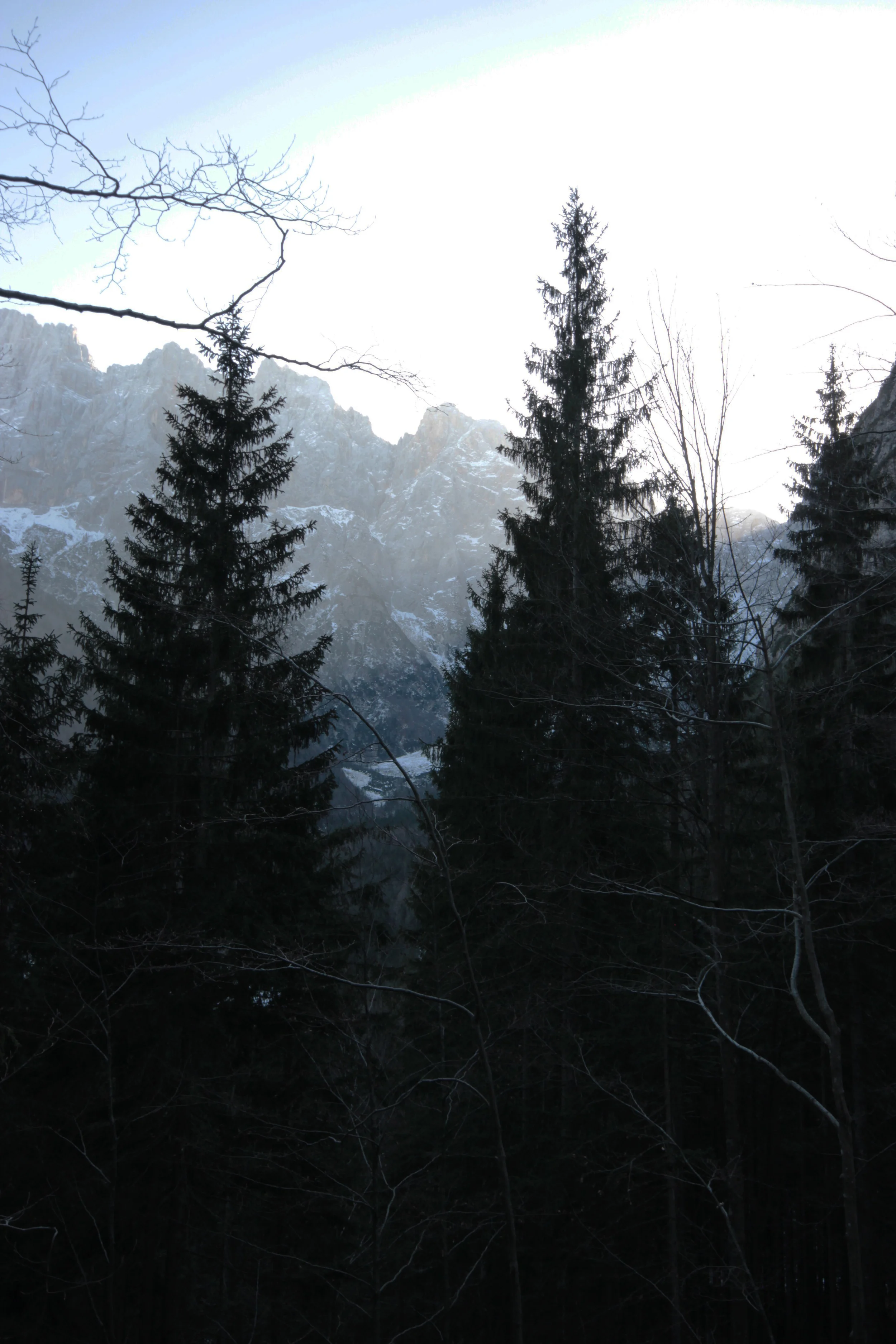 IMG_9498.jpg