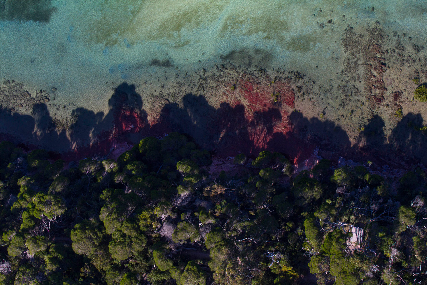 Nature's Tablecloth, Merimbula NSW