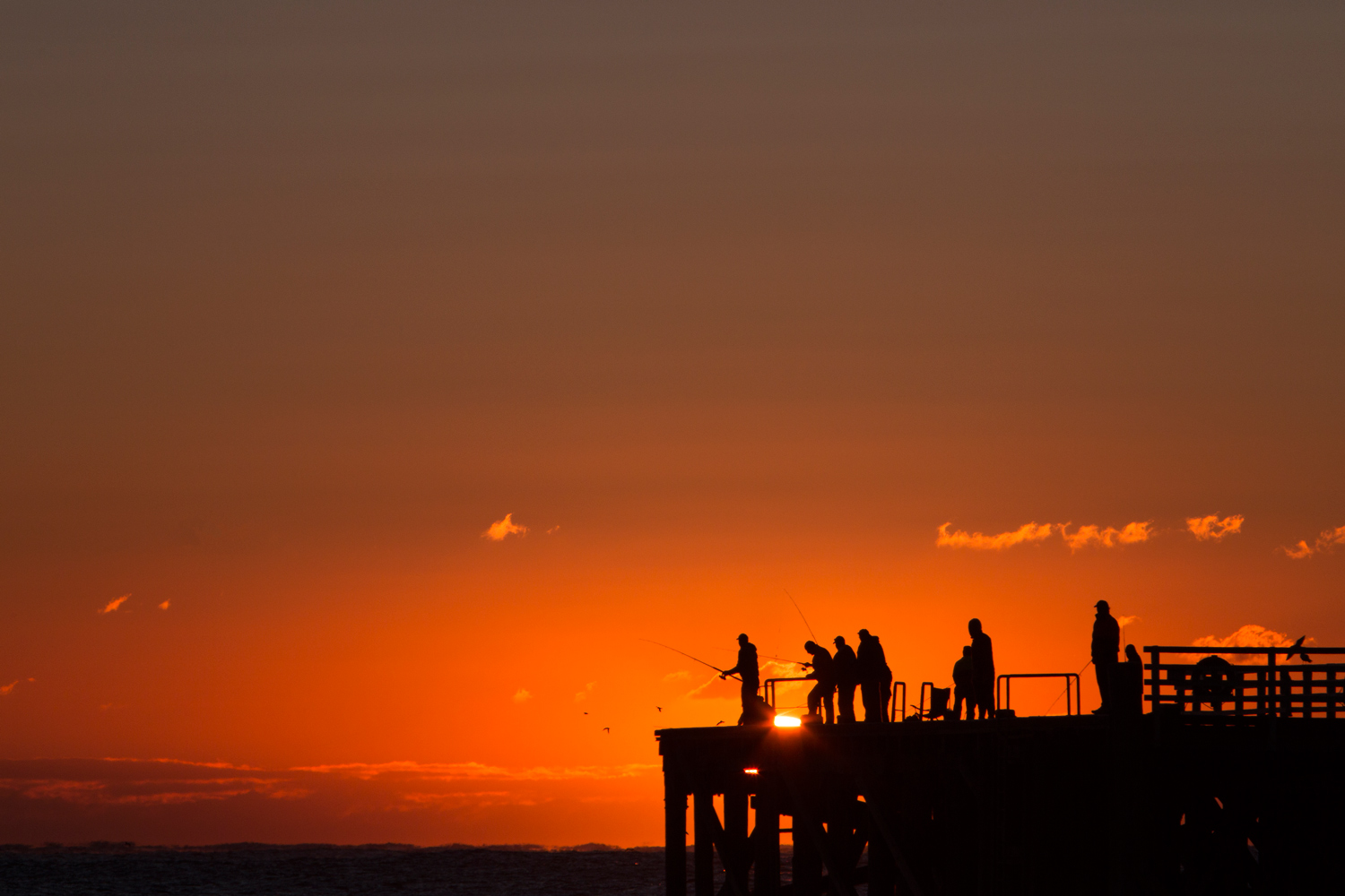 Dawn Droppers, Tathra NSW