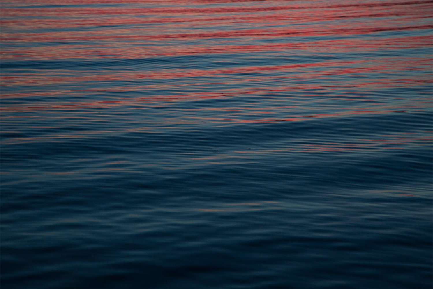 Pinkin Blues, Tathra NSW