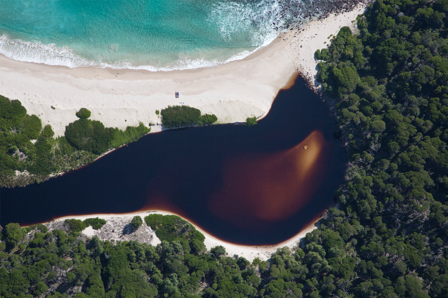 Spilt Tea, Eden NSW