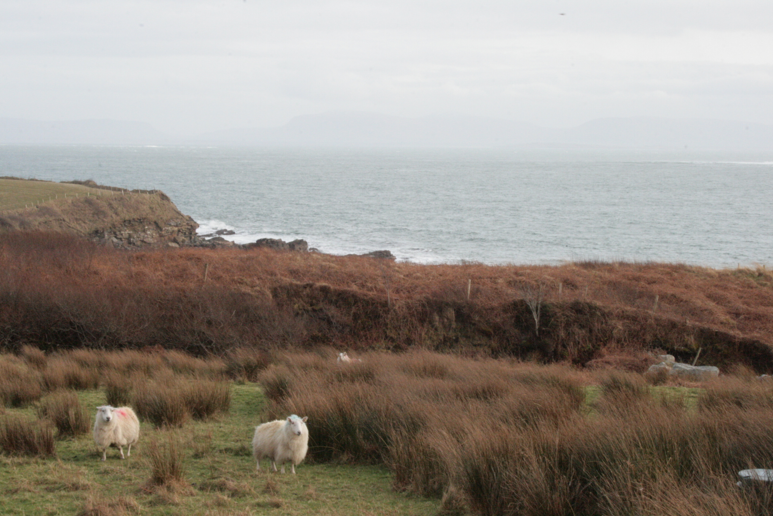 Donegal Yarns, Kilcar
