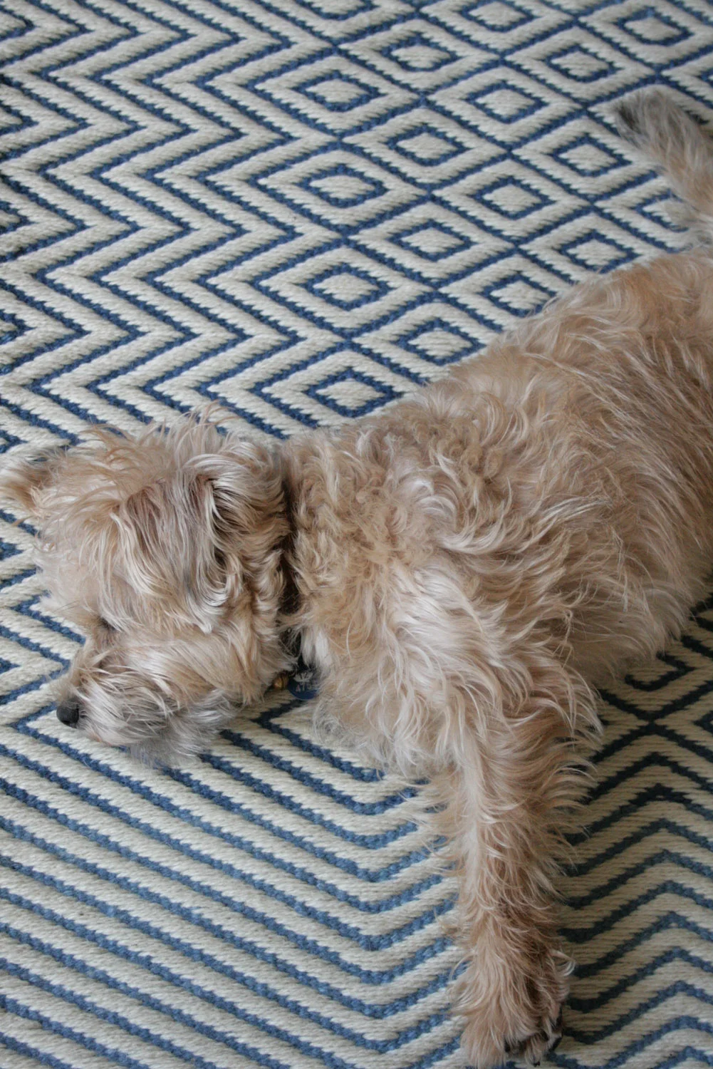 The Cambrian Mountains Wool Challenge